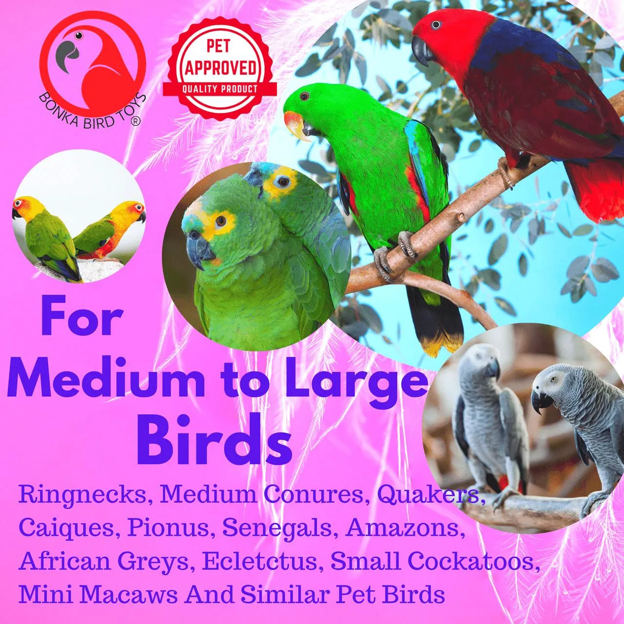 1042 Duo Foraging Heart