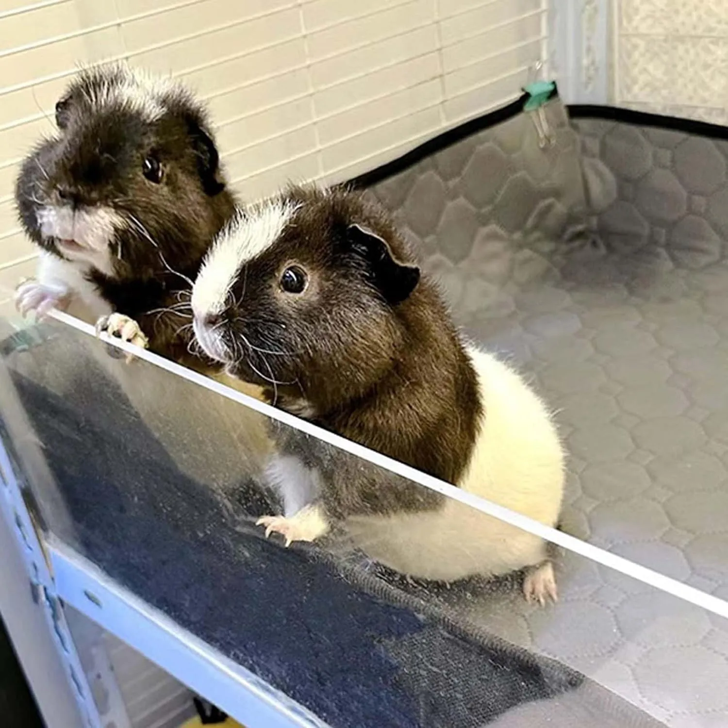 2 Pack-Guinea Pig Cage Liner, Washable Pee Pads for Guinea Pigs, Rabbit, Chinchilla, Bunny, Fast Absorbing& Reusable Waterproof Mat, Small Animal Cages Bedding Odor Control-28 * 42 Inch
