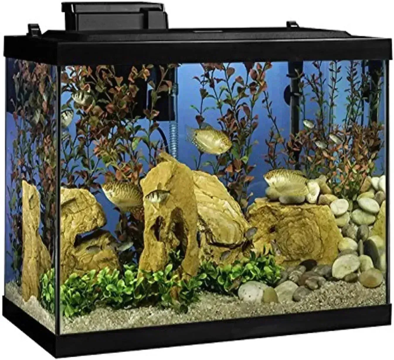 20 Gallon Fish Tank Kit with LED Lighting & Decor – Complete Aquarium Starter Kit