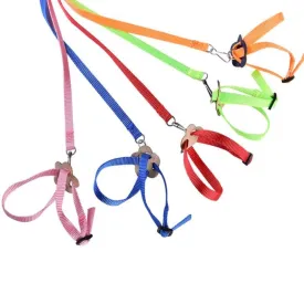 Adjustable Collar Harness Pet Strap