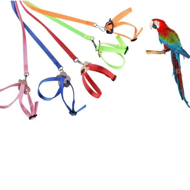 Adjustable Collar Harness Pet Strap