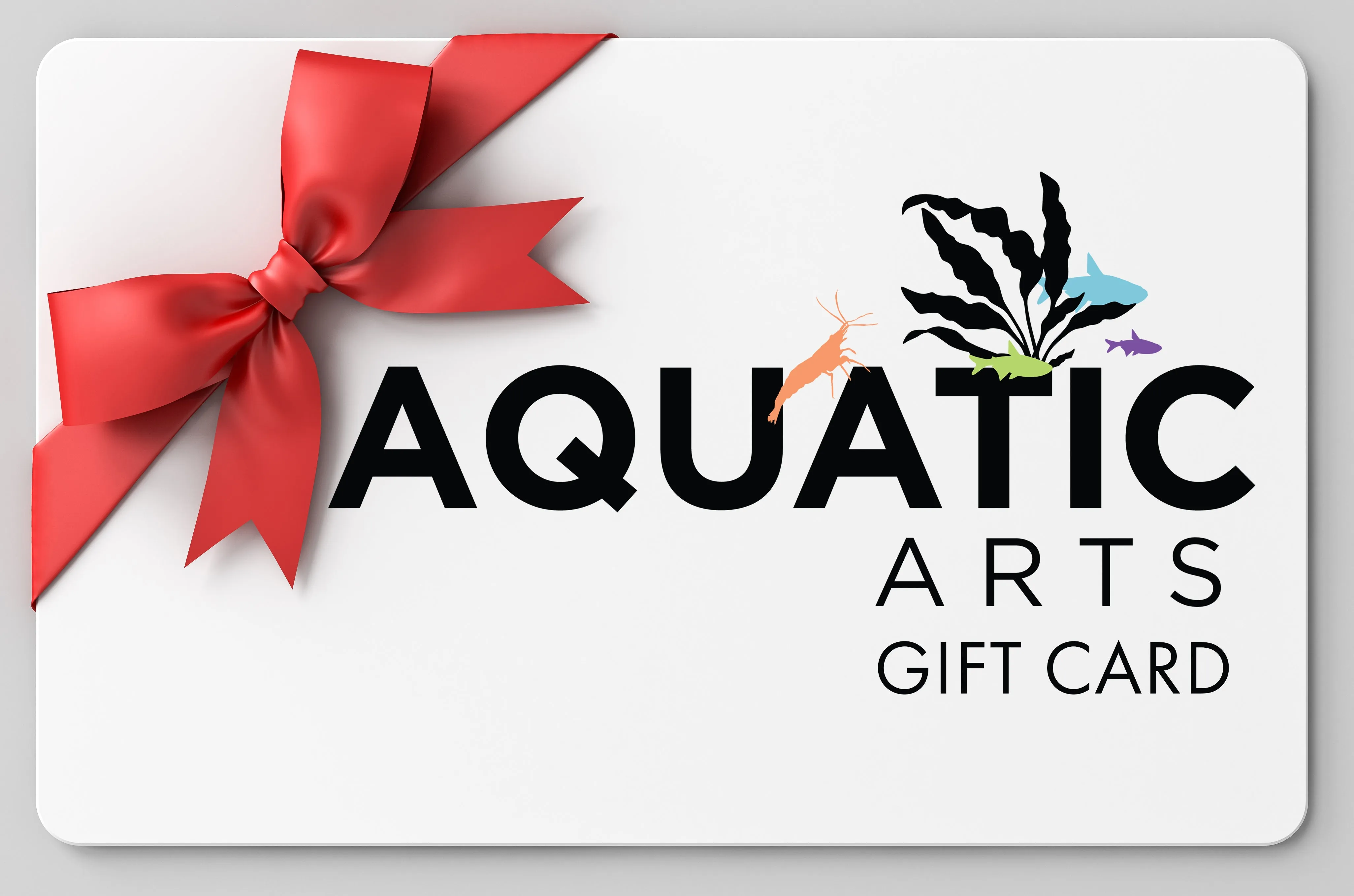 Aquatic Arts 4-Gallon AquaZen Ultimate Scaper Kit Plus