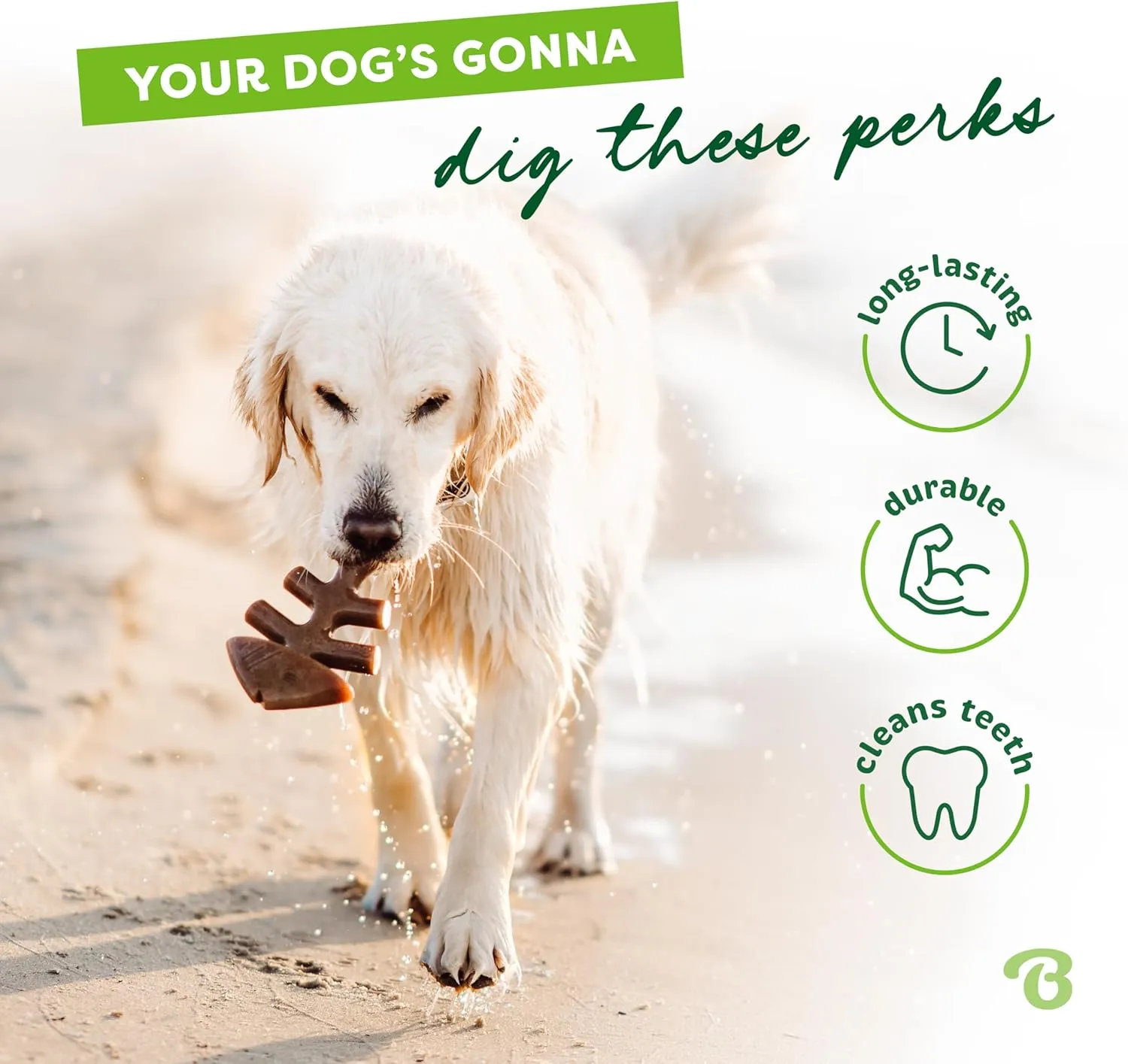 Benebone Fishbone Durable Dog Chew Toy for Aggressive Chewers, Real Fish, Made in USA, Medium