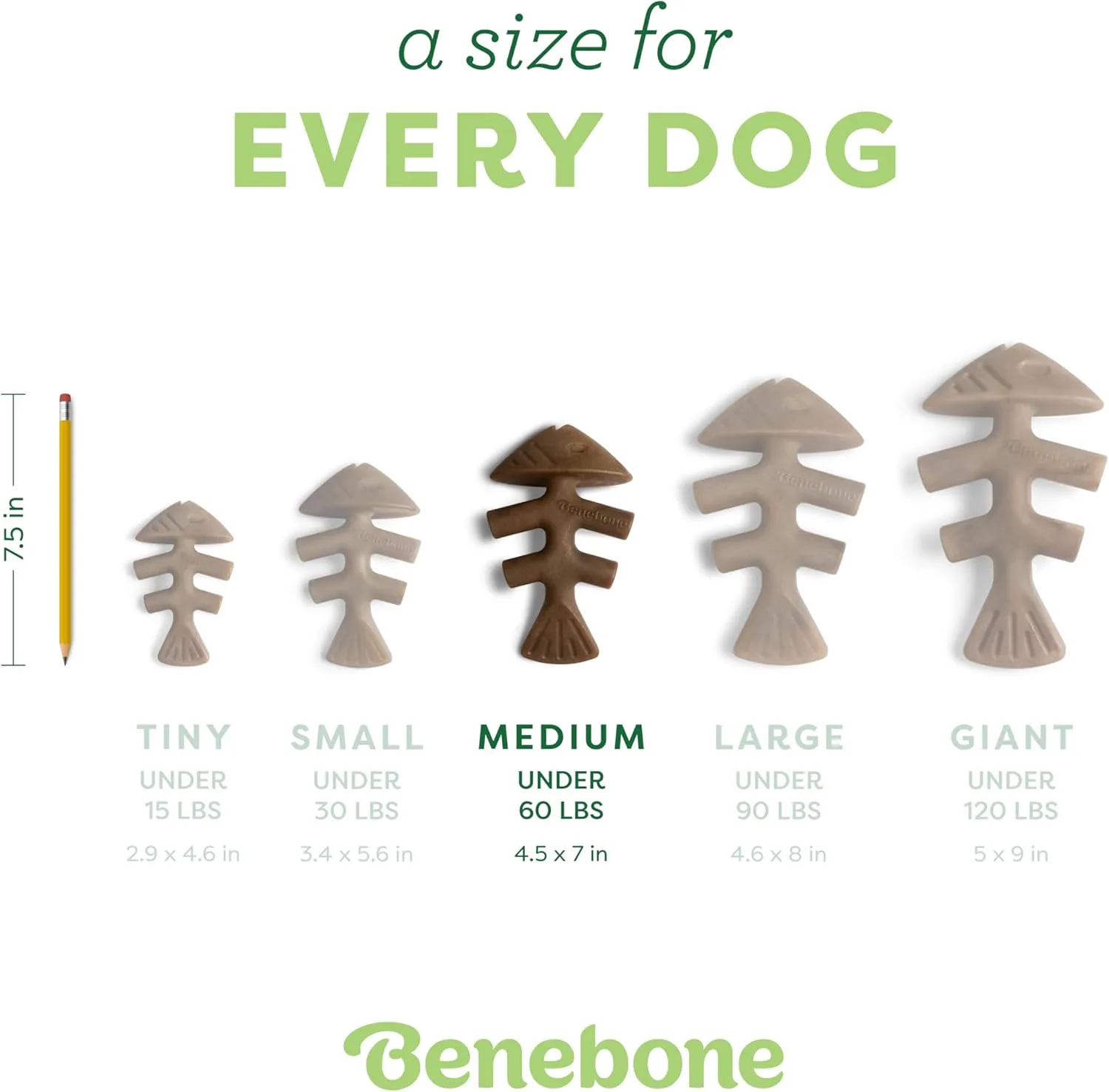 Benebone Fishbone Durable Dog Chew Toy for Aggressive Chewers, Real Fish, Made in USA, Medium