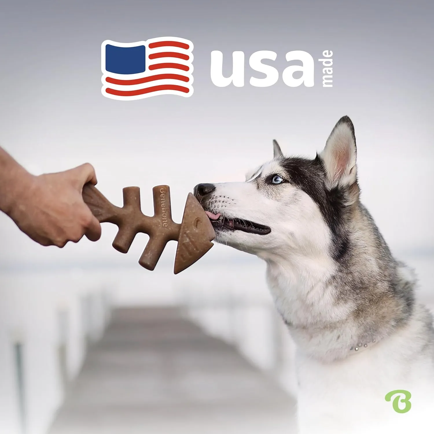Benebone Fishbone Durable Dog Chew Toy for Aggressive Chewers, Real Fish, Made in USA, Medium