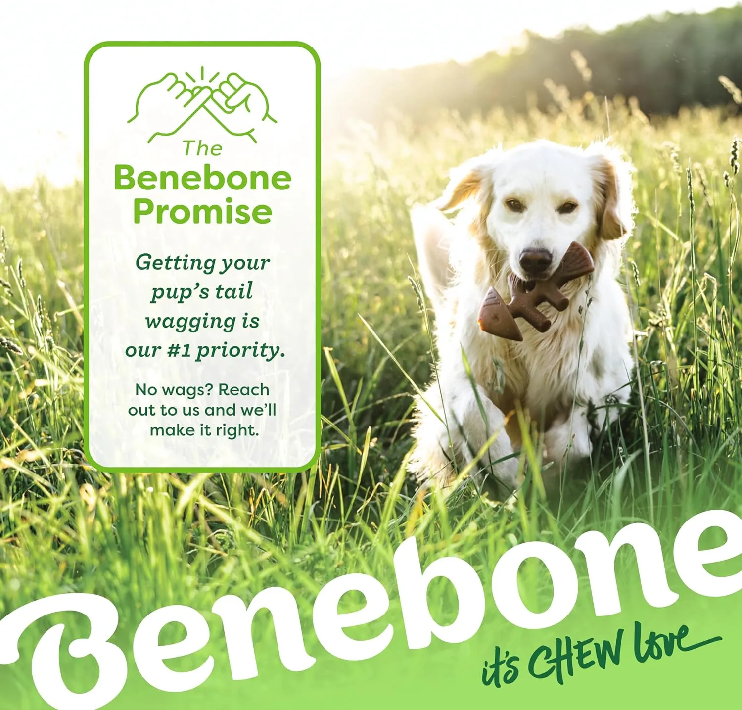 Benebone Fishbone Durable Dog Chew Toy for Aggressive Chewers, Real Fish, Made in USA, Medium