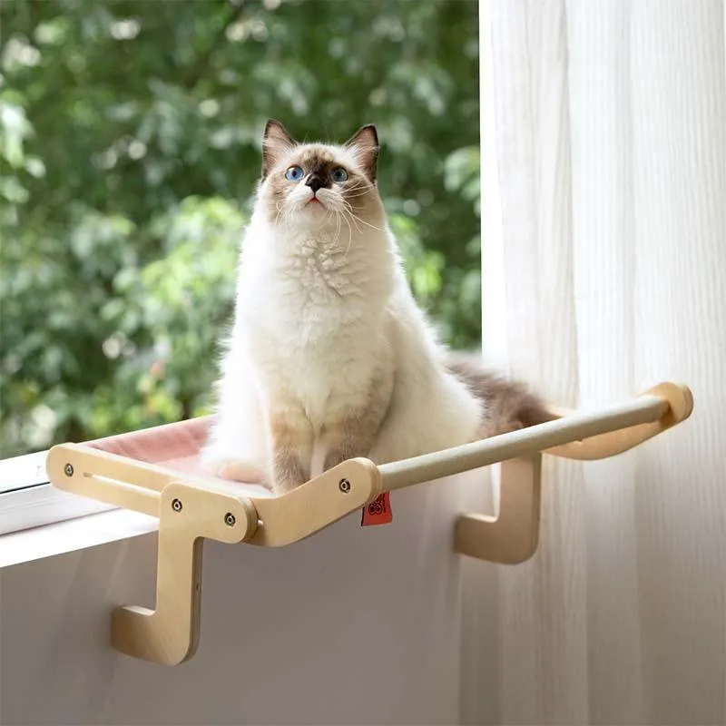 Best Cat Window Perch
