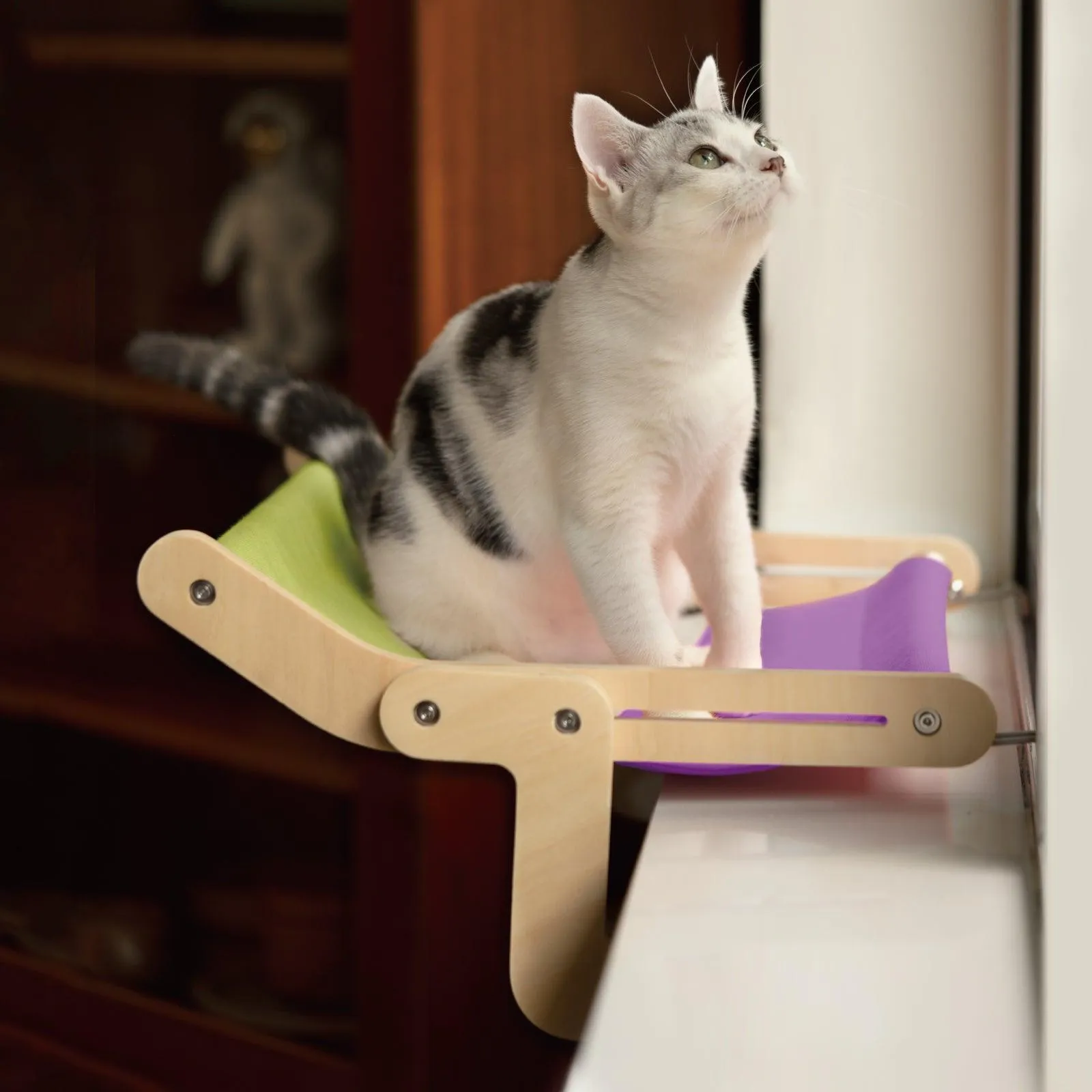 Best Cat Window Perch