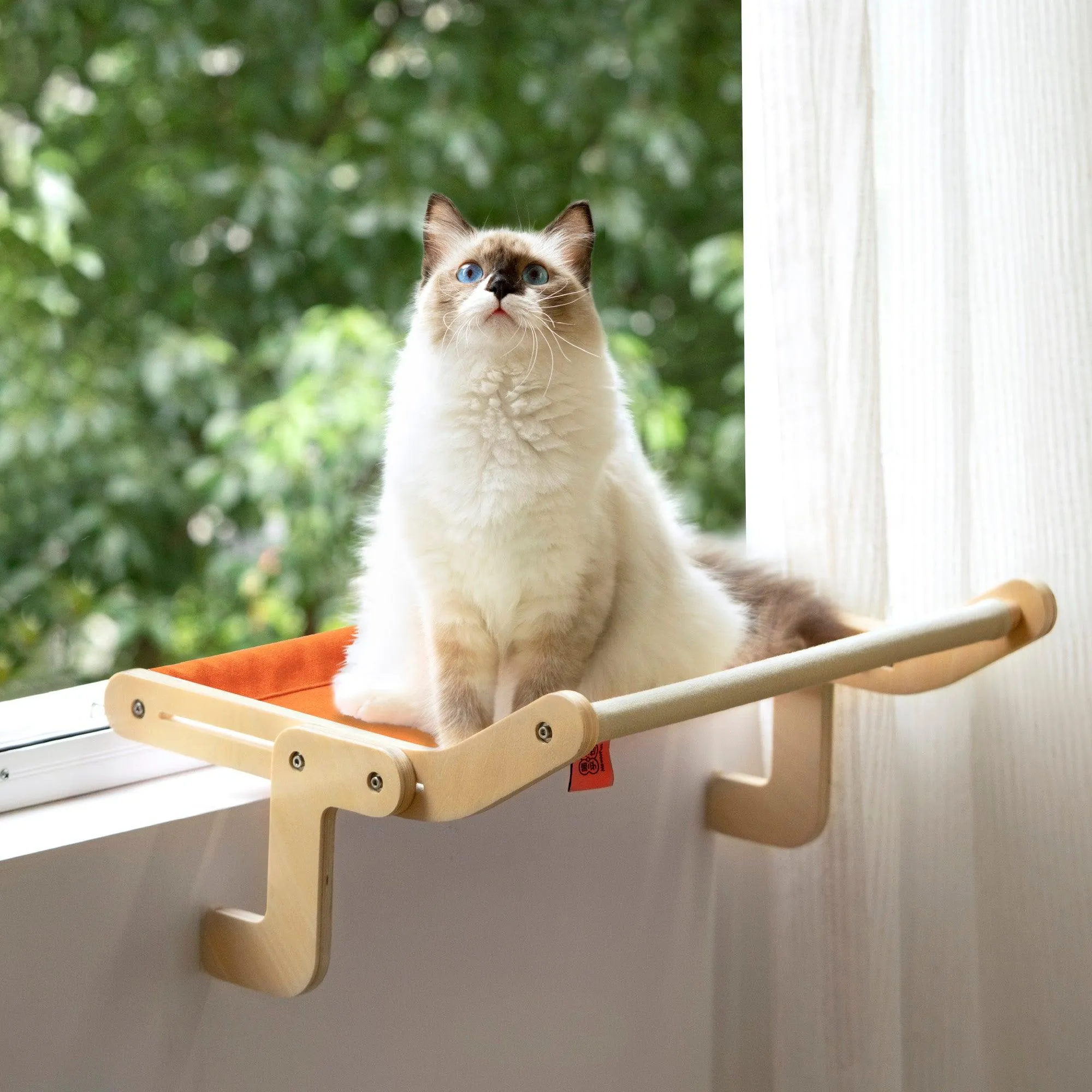 Best Cat Window Perch