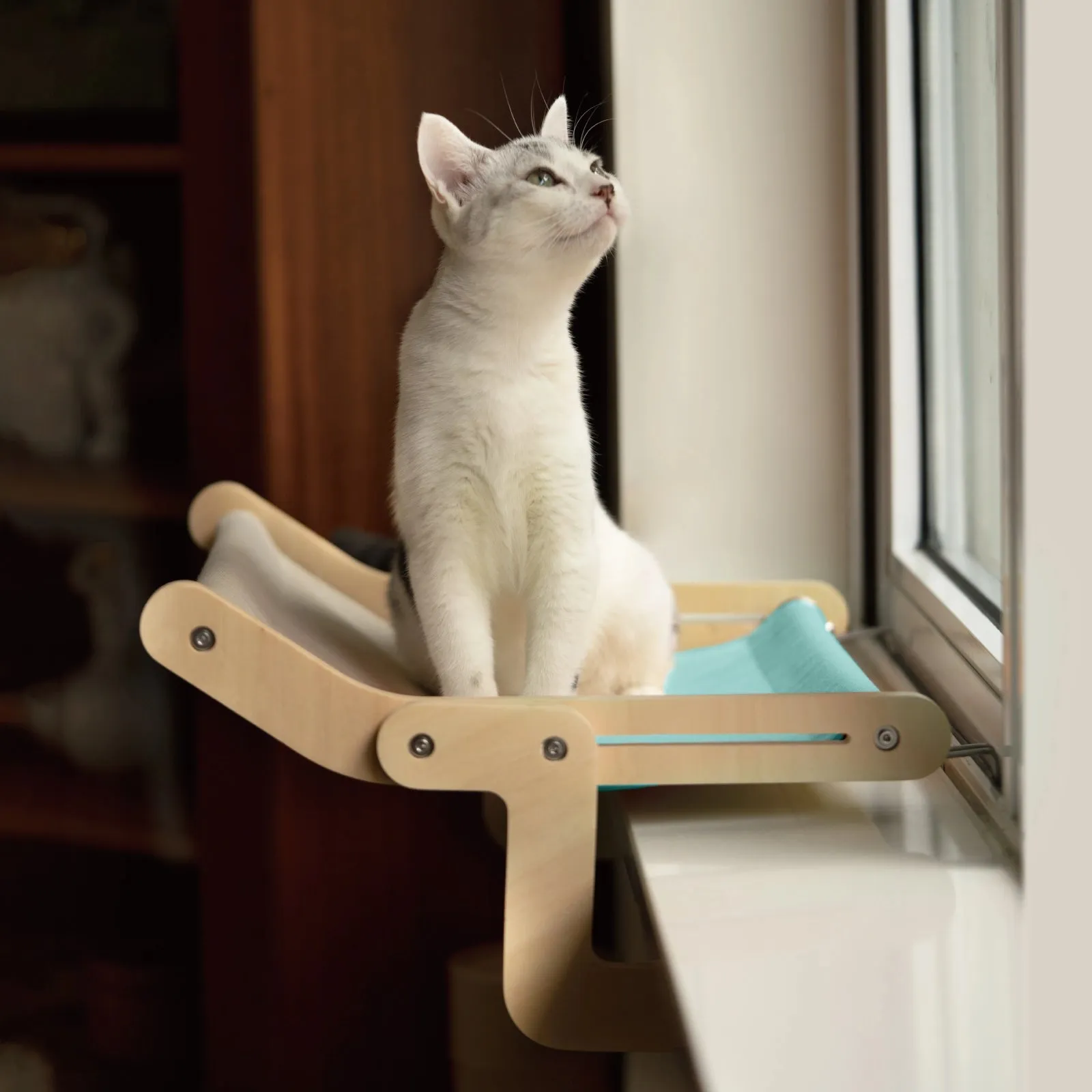 Best Cat Window Perch