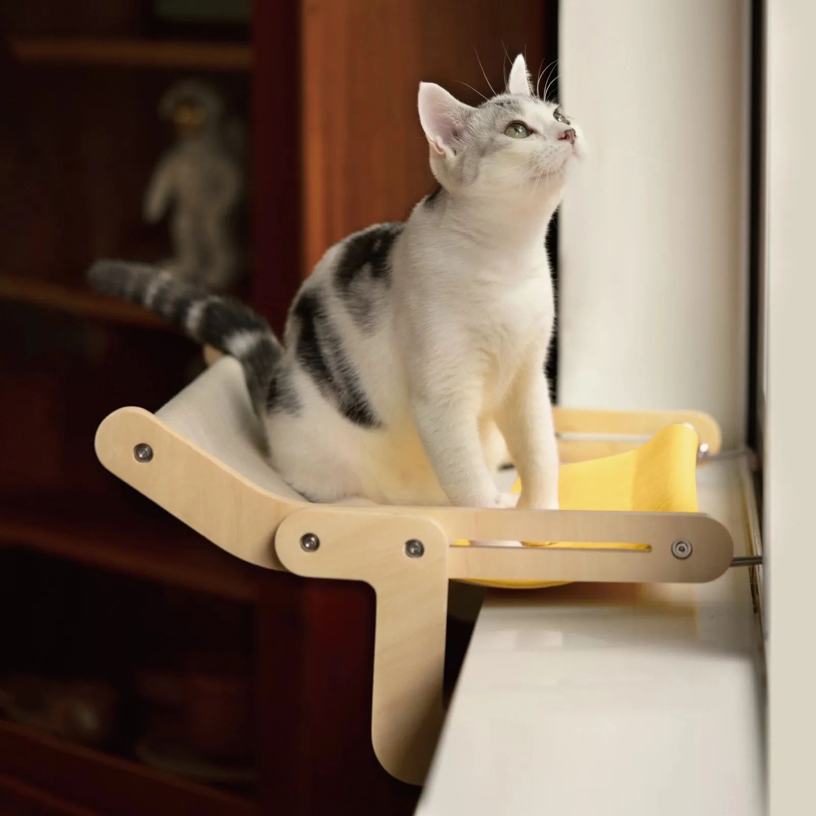 Best Cat Window Perch