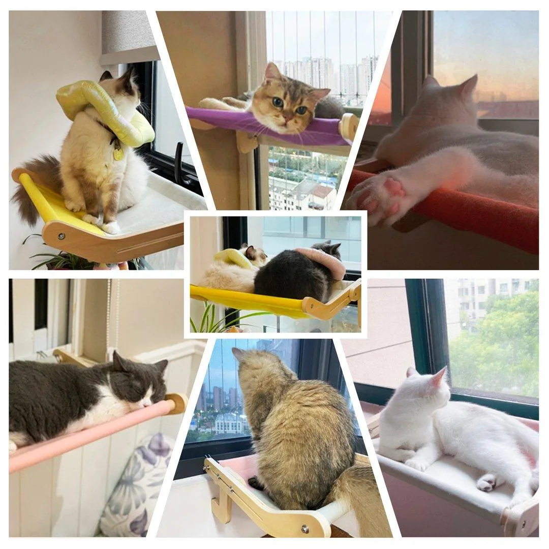 Best Cat Window Perch