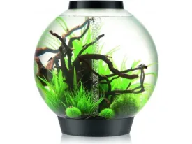 biOrb CLASSIC 105 MCR black