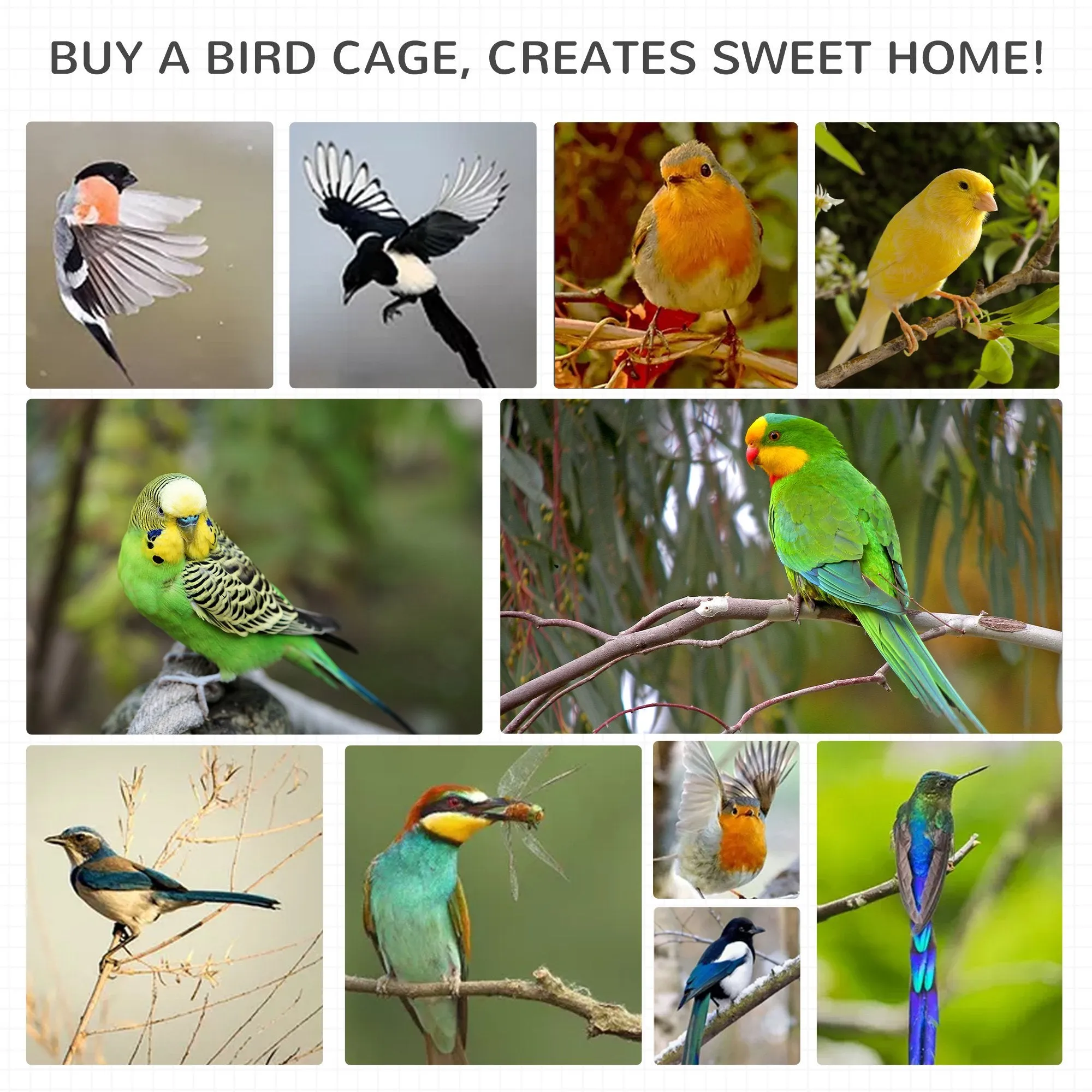 Bird Cage - Grey
