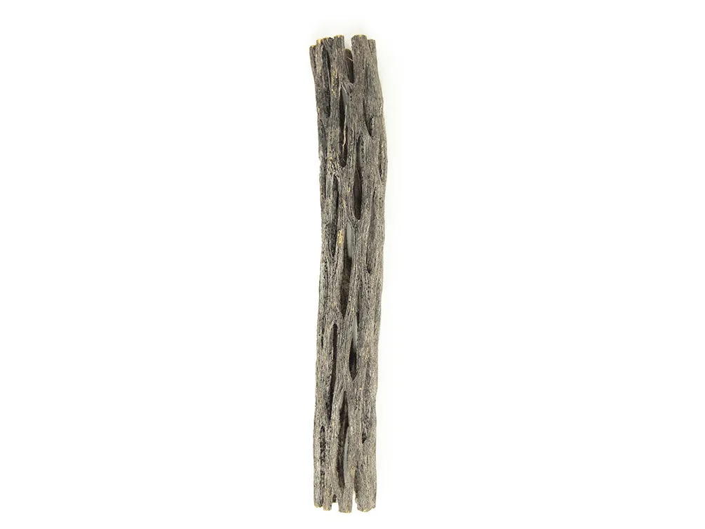 Buckhorn Cholla Wood