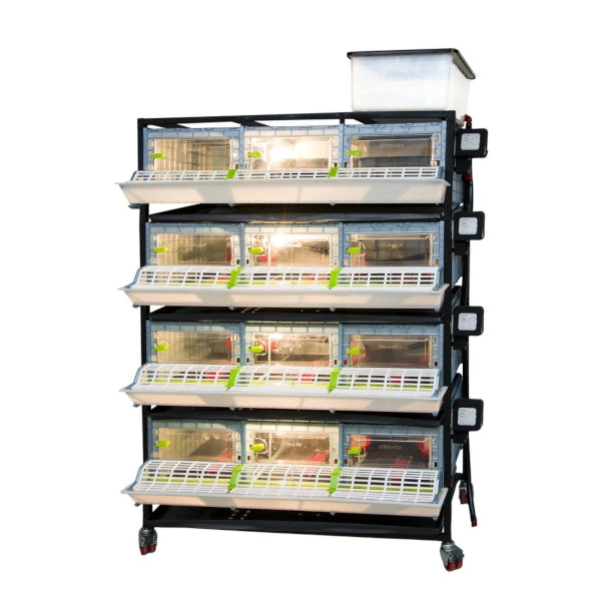 Chick Brooder - 4 Layer H: 9.5"