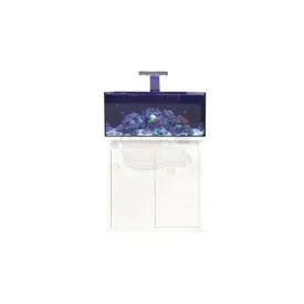 D-D Reef Pro 900 Aquarium