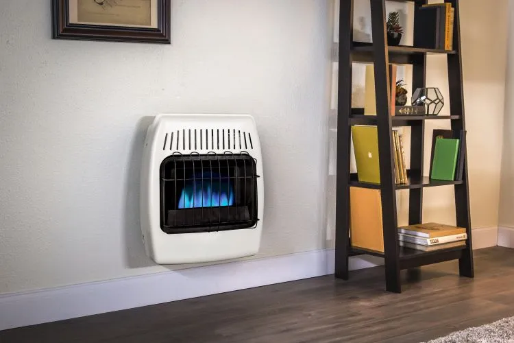 Dyna-Glo 10K BTU LP Blue Flame Vent Free Wall Heater