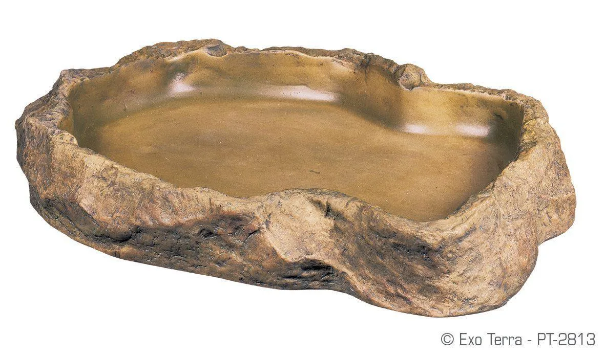 Exo Terra Feeding Dish Large