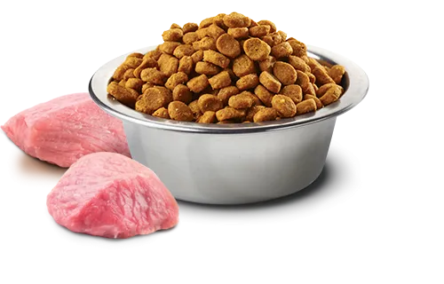 Farmina N&D Pumpkin Formula Medium & Maxi Lamb & Blueberry Adult Dog Food