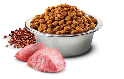 Farmina N&D Quinoa Digestion Lamb Adult Dog Food