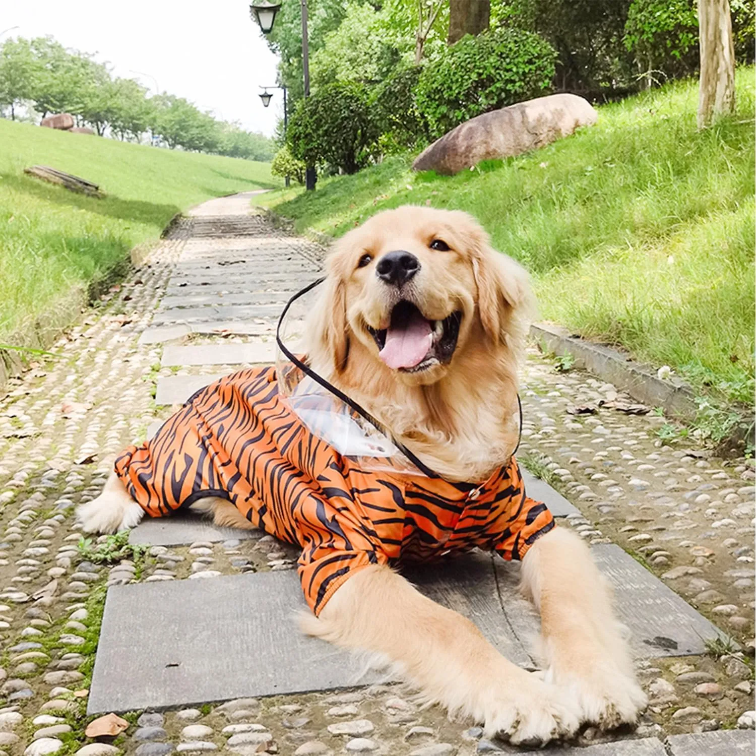 HDKUW Large Dog Raincoat with Leash Hole, Full Coverage Slicker Dog Rain Coat Hoodie, Animal Shape Waterproof Jacket for Small Medium Large Dogs Tiger 6XL