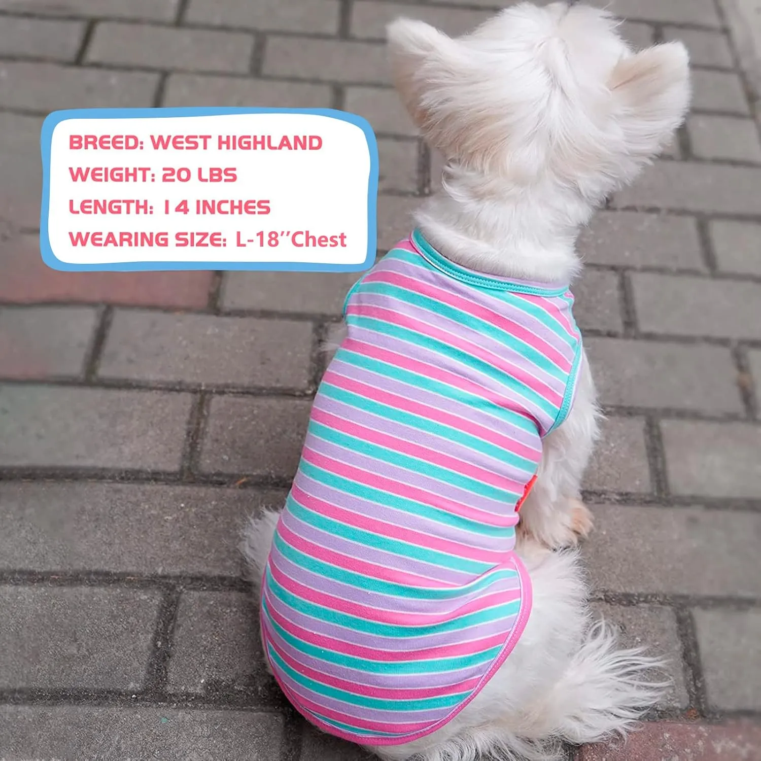KYEESE 2Pack Dog Shirts Small Tee Soft for Small Dogs Striped T Shirt Lightweight Sleeveless Vest Cotton Tank Top Clothes, Large,Purple Striped