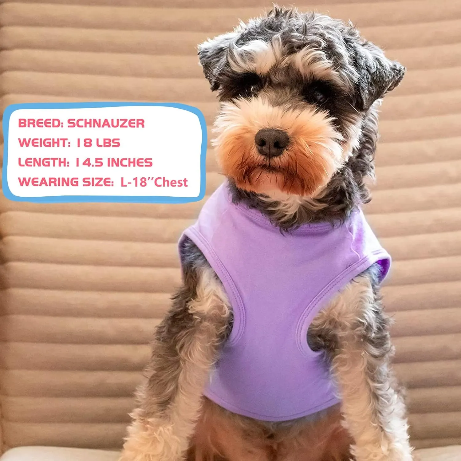 KYEESE 2Pack Dog Shirts Small Tee Soft for Small Dogs Striped T Shirt Lightweight Sleeveless Vest Cotton Tank Top Clothes, Large,Purple Striped