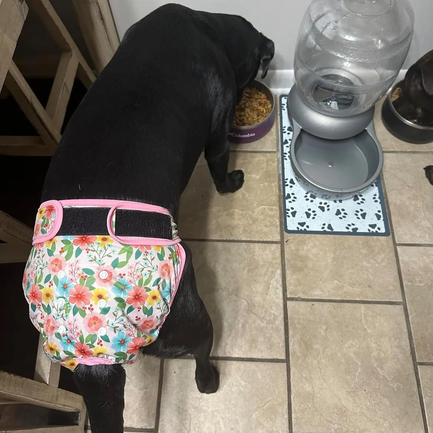 Leekalos Reusable Washable Dog Diapers Female (3 Pack) - Highly Absorbent Doggie Diapers - Size Adjustable Puppy Diapers for Dog Period Panties (Small, Flora)