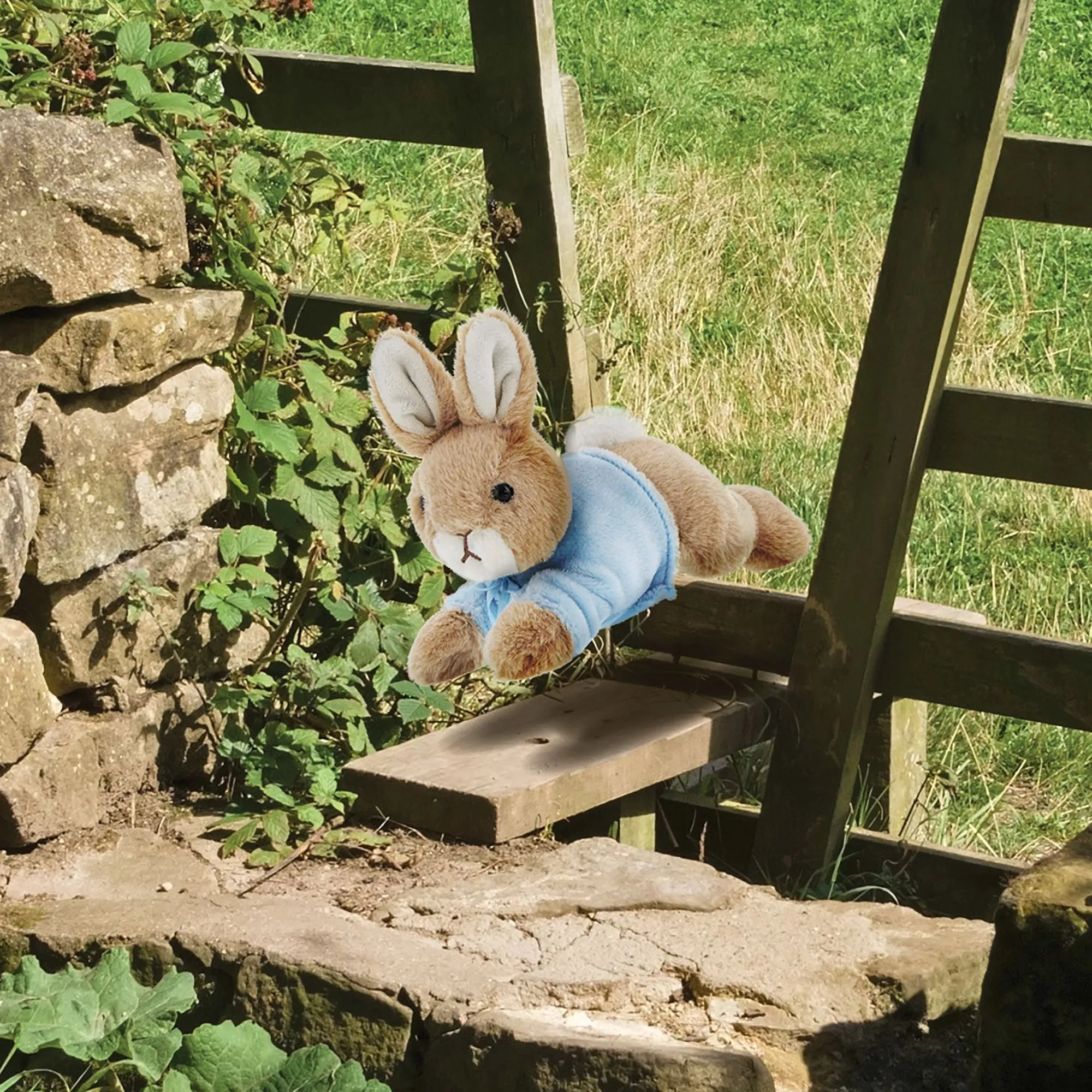 Lying Peter Rabbit Small