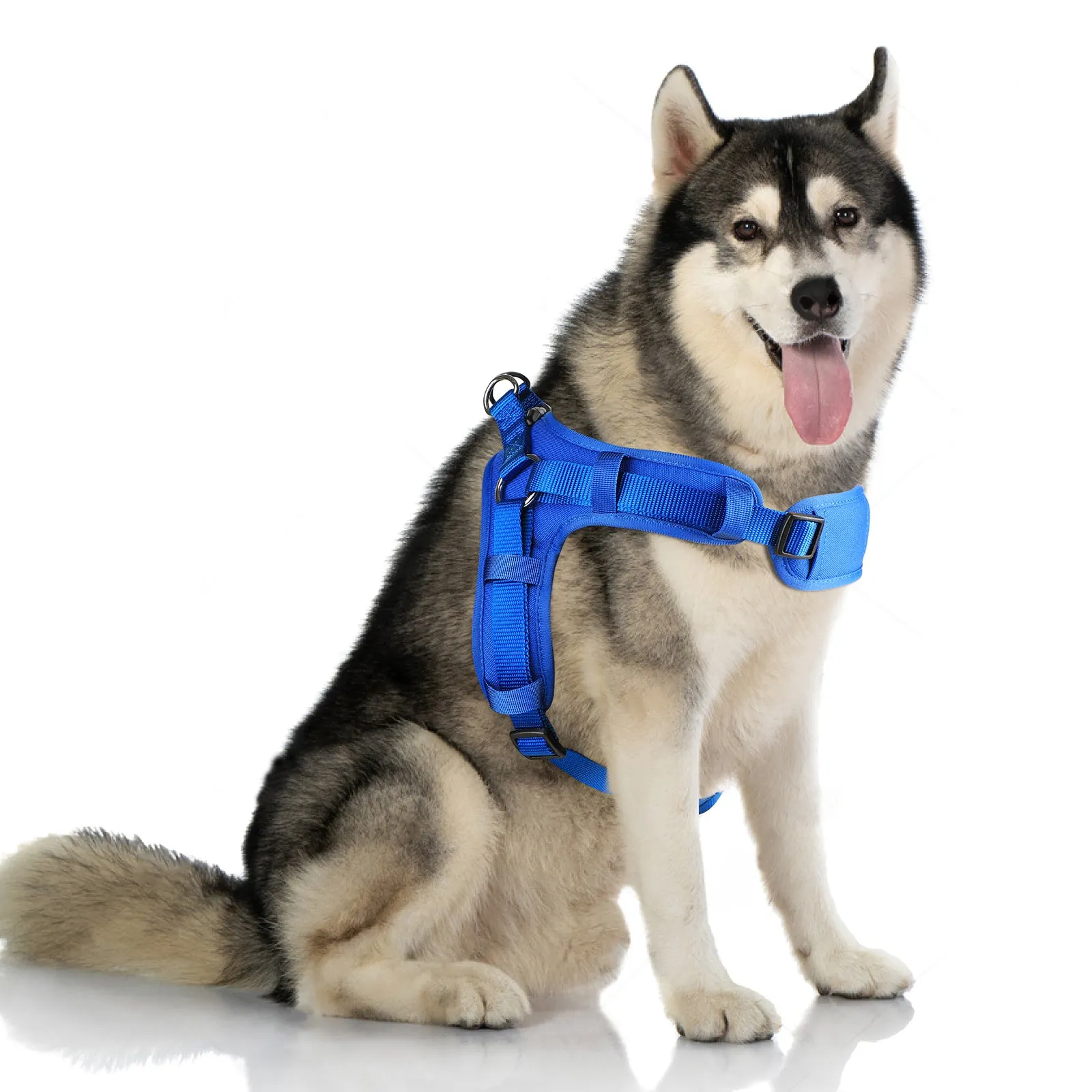 No Pull Dog Harness, Mesh Breathable Padded Dog Vest Harness Step-in