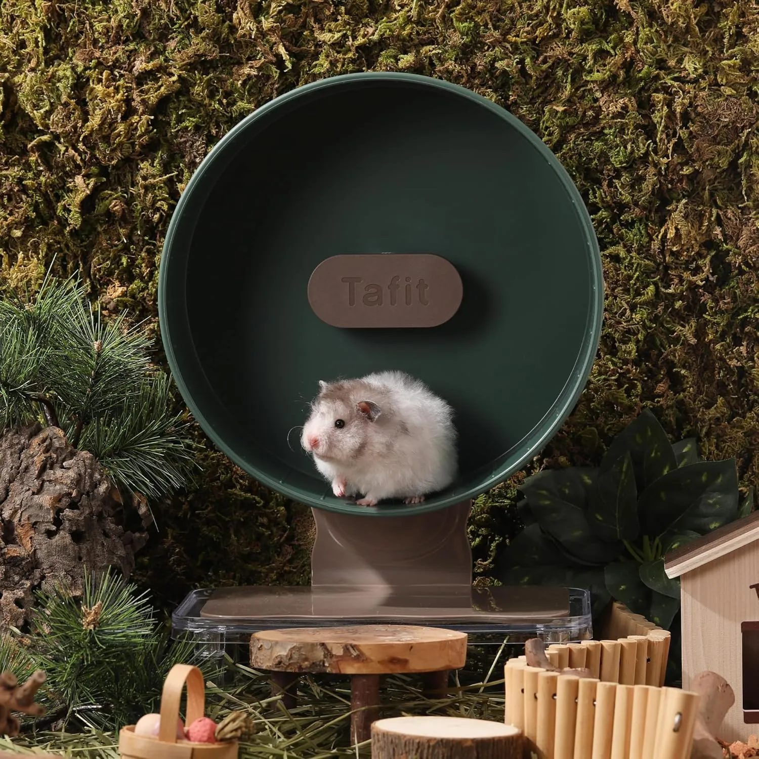 Quiet Hamster Wheel 10.2 Inch Dual-Bearings Silent Small Animals Running Exercise Wheel Height Adjustable for Syrian Dwarf Hamsters, Gerbils, Rats, or Other Small Pets, Avocado Green