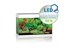 Rio 125 Led - White