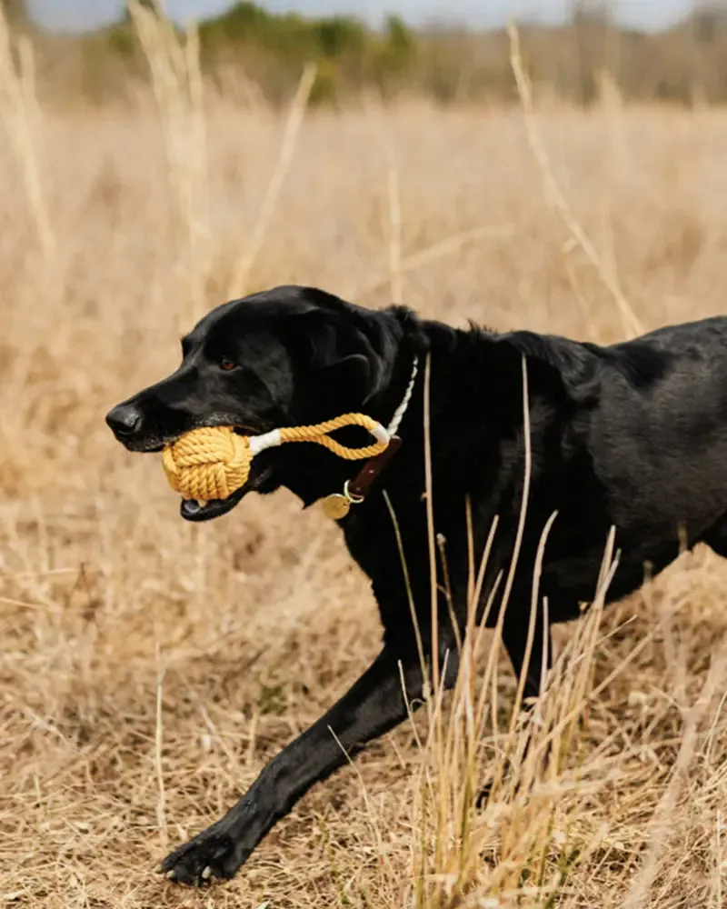 Rope Dog Toy