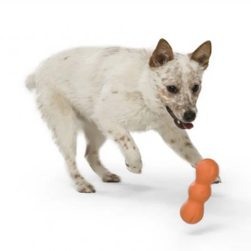 Rumpus with Zogoflex - Chew & Fetch for Tough Chewers