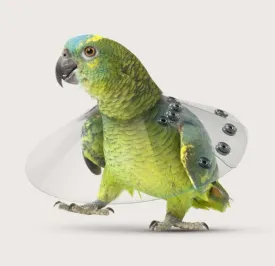 Saf-T Shield Stiff Bird Collar For Severe Feather Plucking Birds