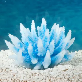 Sporn Aquarium Decor - White Tip Acropora Plant Blue