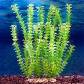 Sporn Wall Of Plants Aquarium Decor - Yellow/Green Plant
