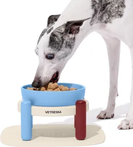 VETRESKA Elevated Dog Bowl, 30.5OZ Large Capacity Raised Ceramic Bowls with Non-Slip Stand and Mat, Elevated Feeding Station for Medium & Small Dogs & Cats