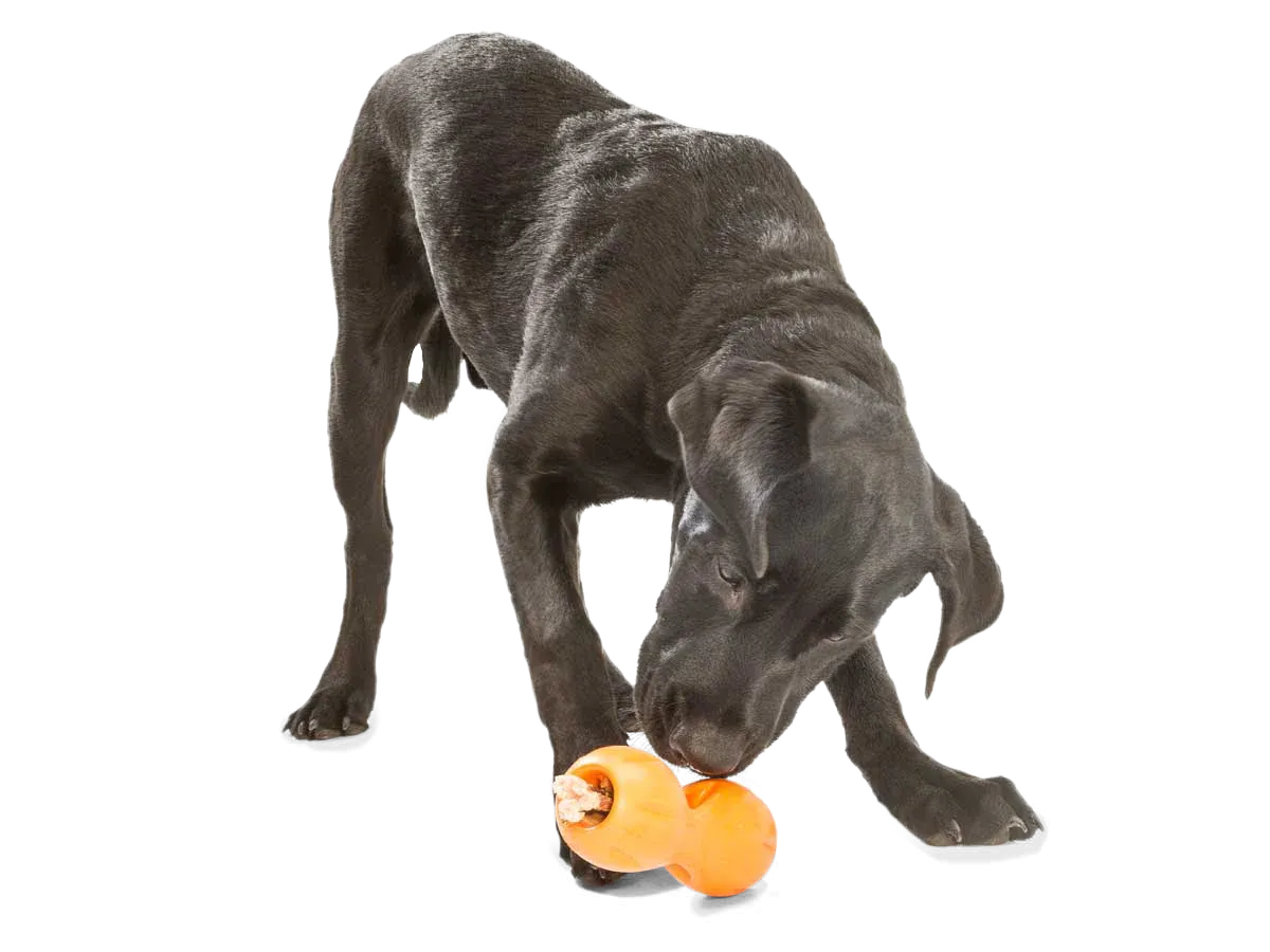 West Paw - Qwizl Treat Dog Toy